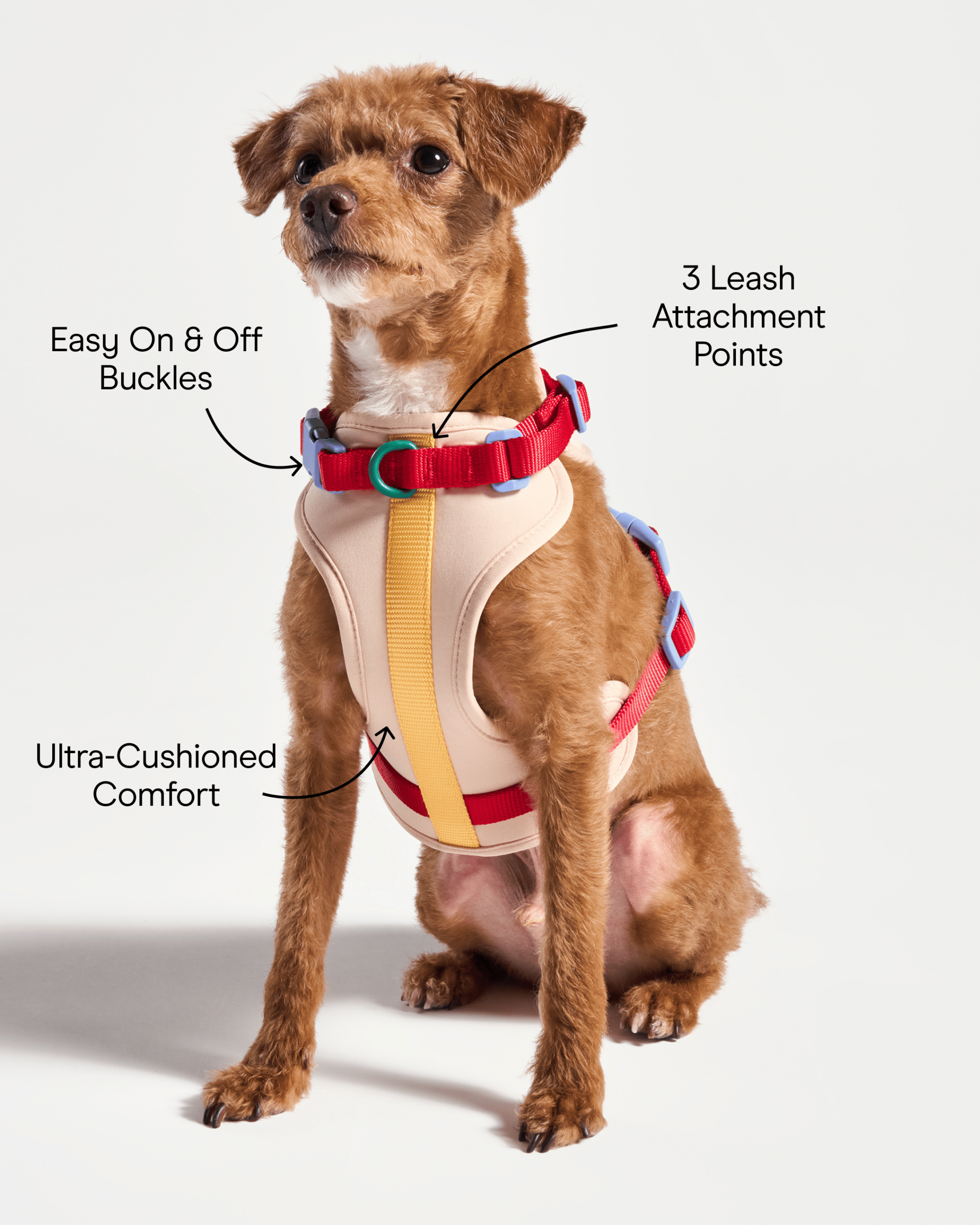 Cushioned Dog Harness - Image 6
