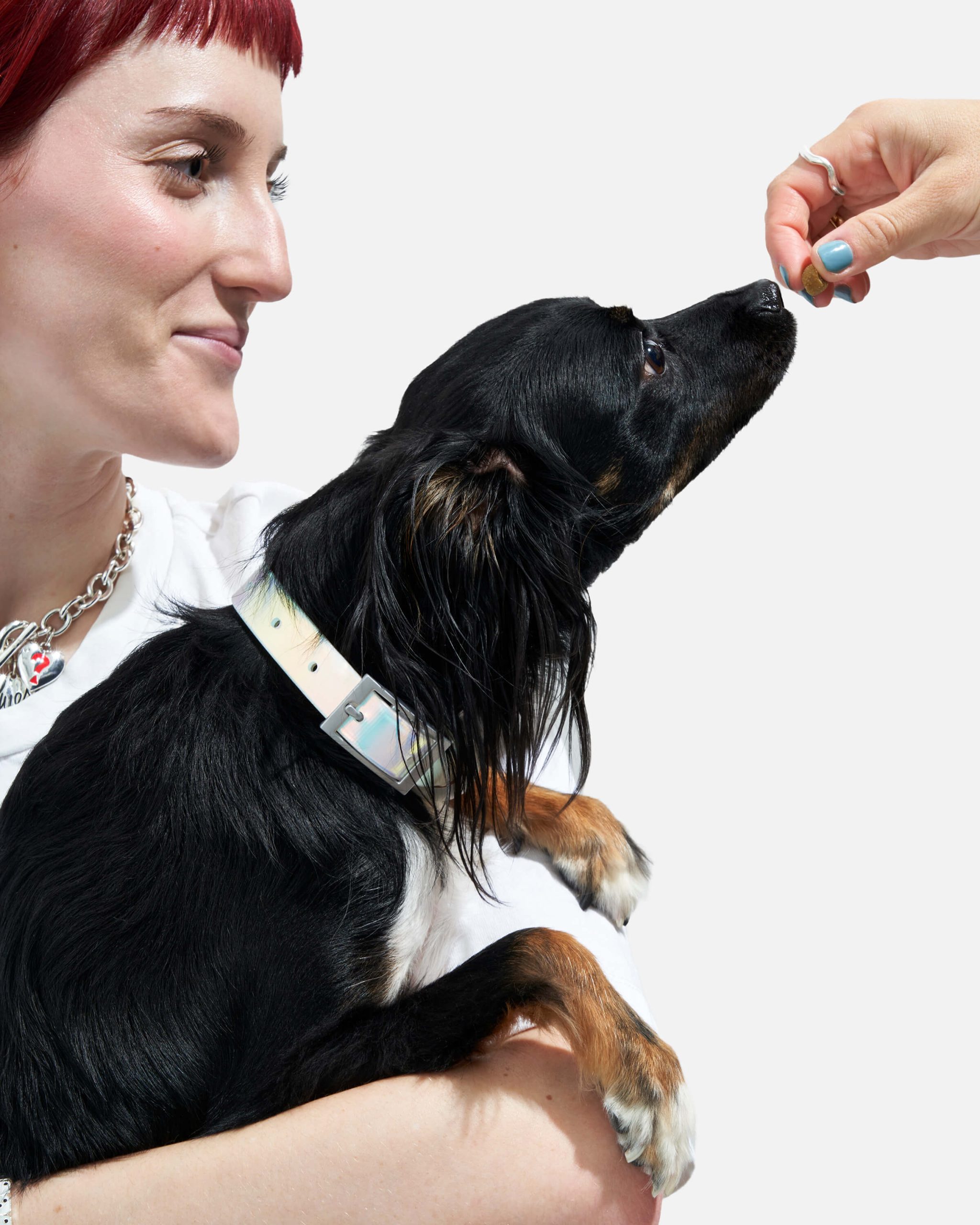 Waterproof Dog Collar - Image 16