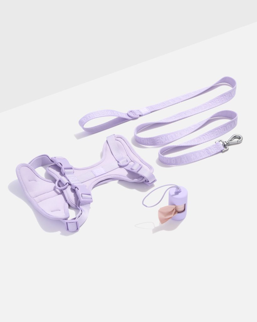 Cushioned Harness + Lightweight Leash Walk Kit