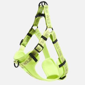Step-In Dog Harness