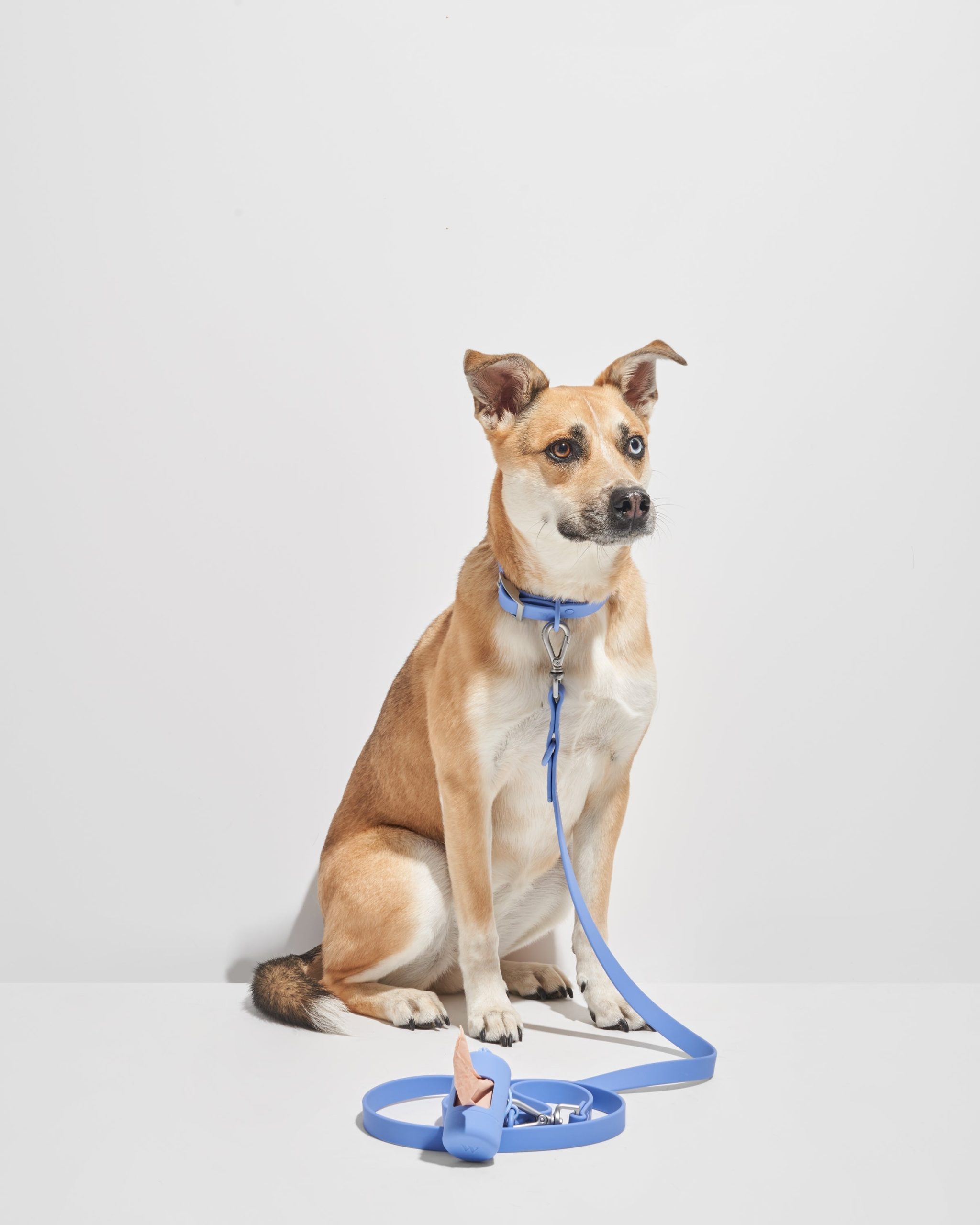 Waterproof Dog Collar - Image 26
