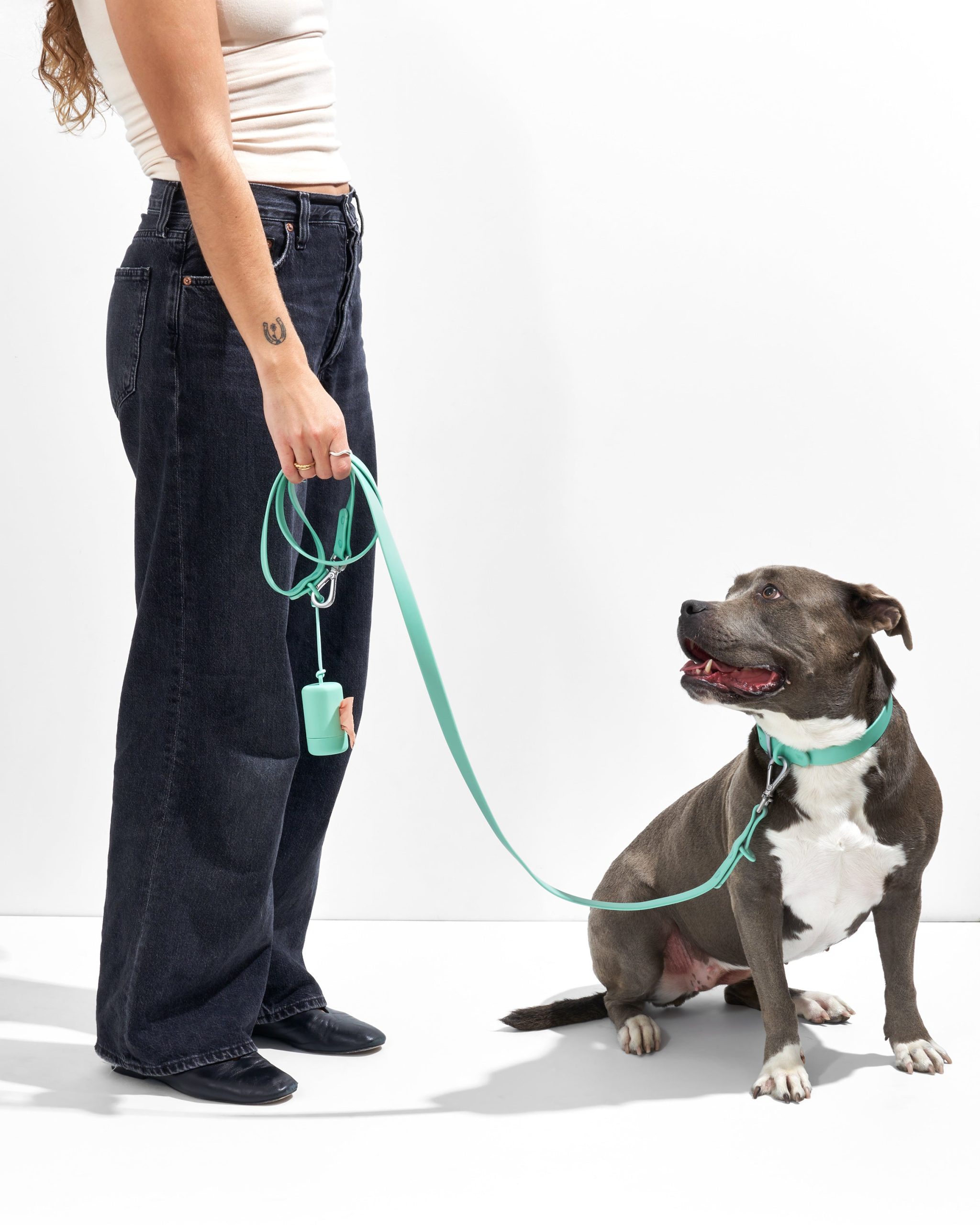 Waterproof Dog Collar - Image 13